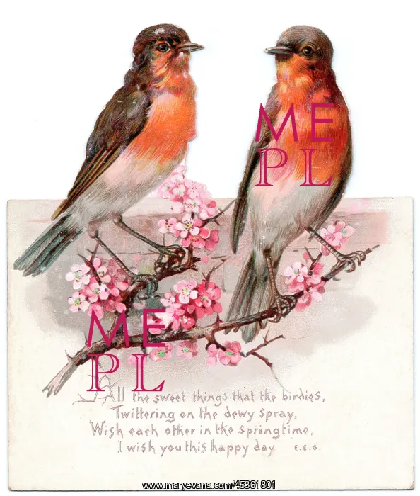 : Two robins on a reversible Christmas card : Two robins on a reversible Christmas card