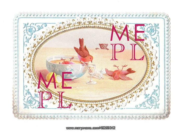 : Three robins sampling the punch on a Christmas card : Three robins sampling the punch on a Christmas card