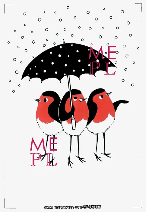 : Three Robins Sheltering under an Umbrella : Three Robins Sheltering under an Umbrella