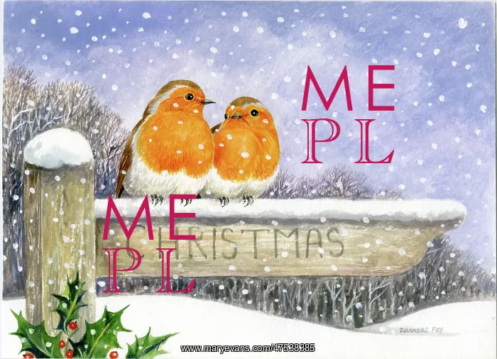 : Two robins on a signpost with snow : Two robins on a signpost with snow
