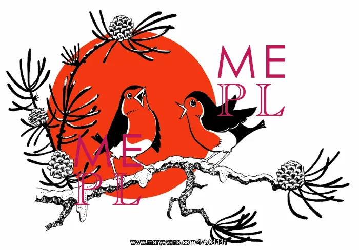 : Two robins singing on a branch : Two robins singing on a branch