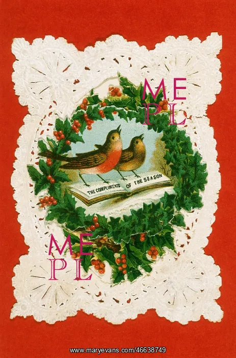 : Robins Singing - Christmas Card : Robins Singing - Christmas Card