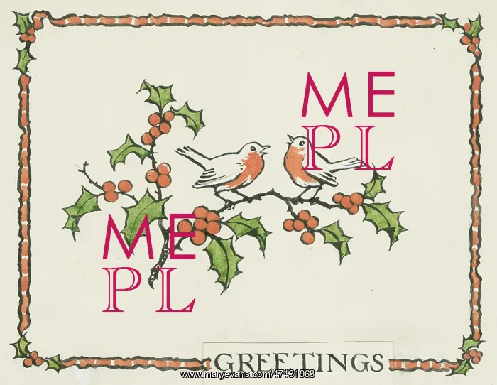 : Two robins sitting on a holly branch : Two robins sitting on a holly branch