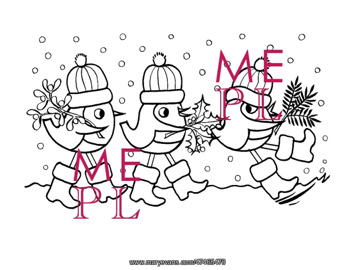  : Three Robins in Snow
