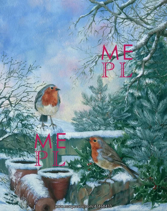 : Robins in the Snow : Robins in the Snow