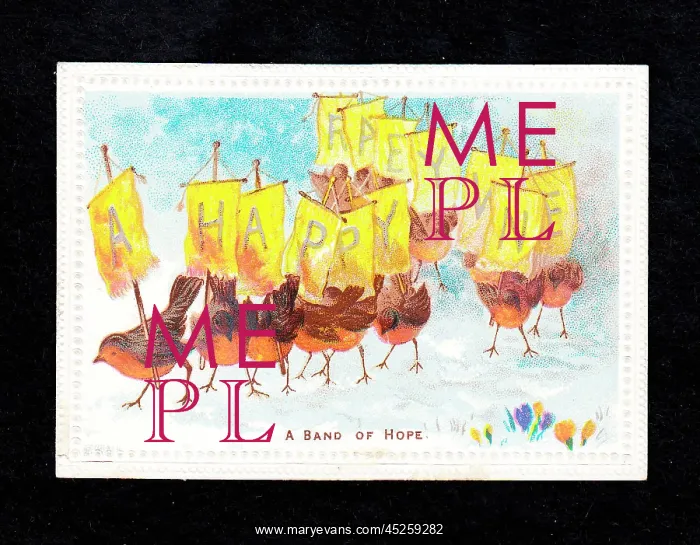 : Robins in the snow with banners on a New Year card : Robins in the snow with banners on a New Year card