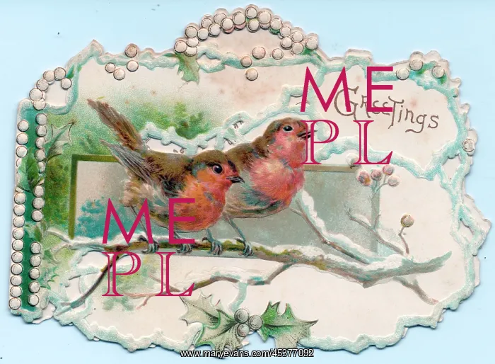  : Robins in the snow on a cutout Christmas card