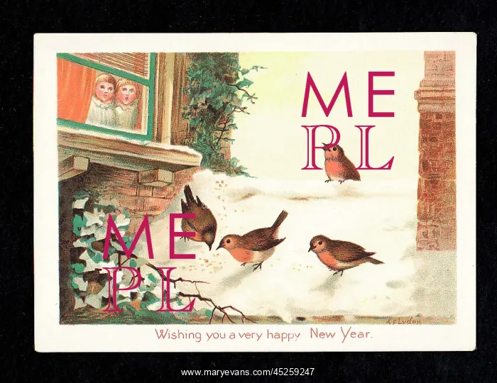 : Four robins in the snow on a New Year card : Four robins in the snow on a New Year card