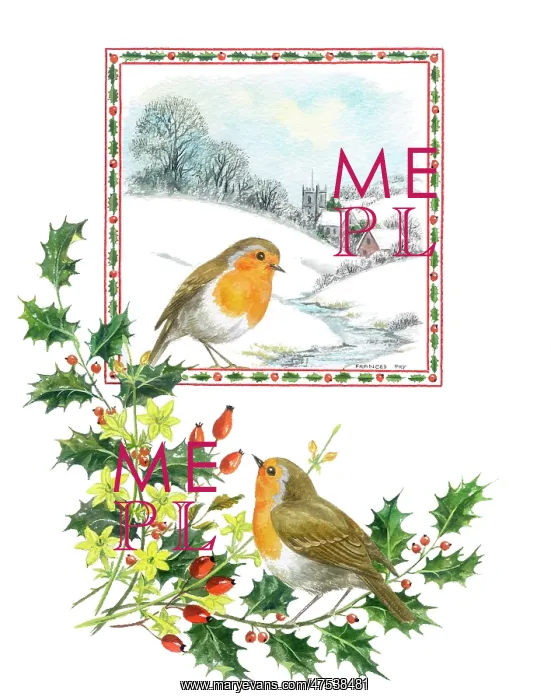 : Robins with snow scene and holly : Robins with snow scene and holly