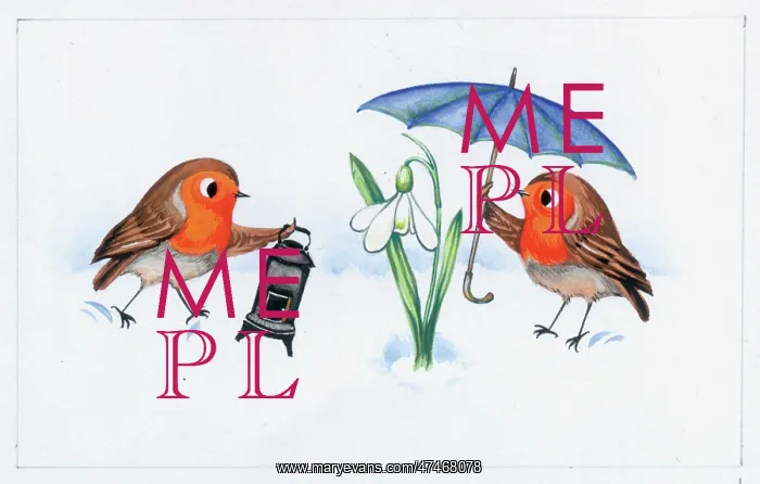 : Two Robins in snow with stove and umbrella : Two Robins in snow with stove and umbrella
