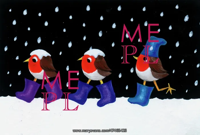 : Three Robins with Wellington boots in snow : Three Robins with Wellington boots in snow