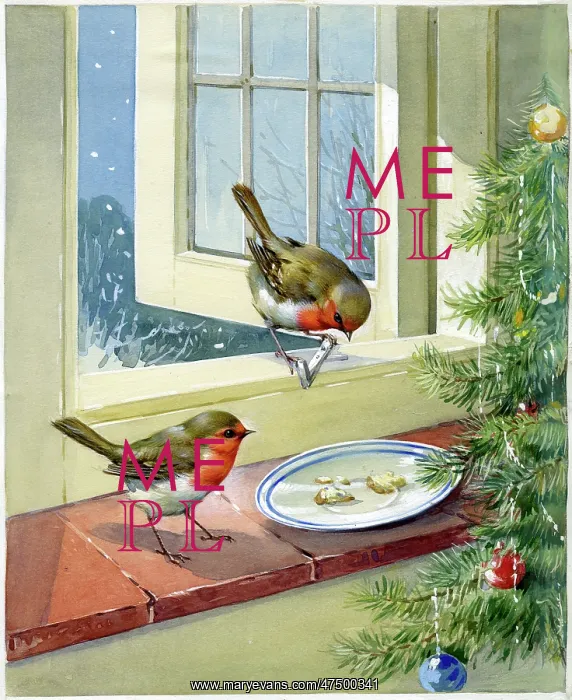 : Two Robins on window sill : Two Robins on window sill