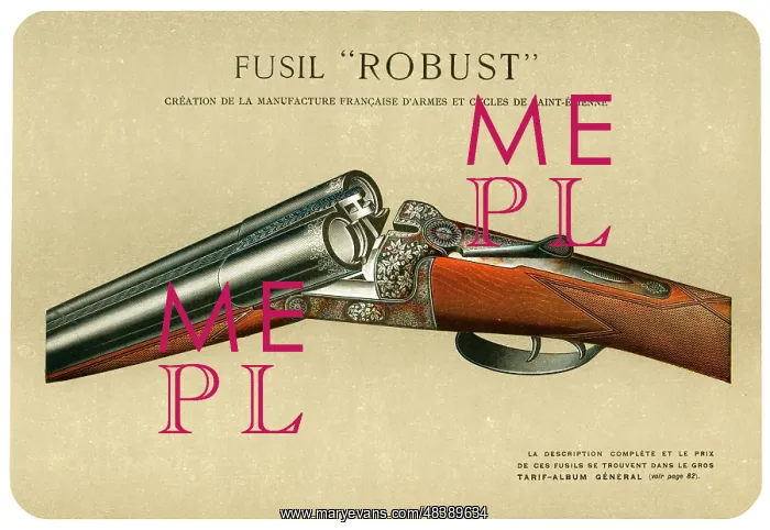  : Robust gun by Mimard & Blachon