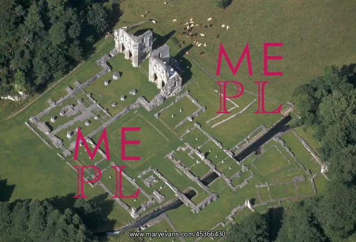 : Roche Abbey : Roche Abbey