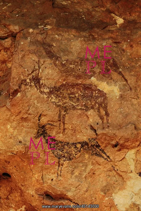 : Rock art, Bicorp, Valencia, Spain : Rock art, Bicorp, Valencia, Spain