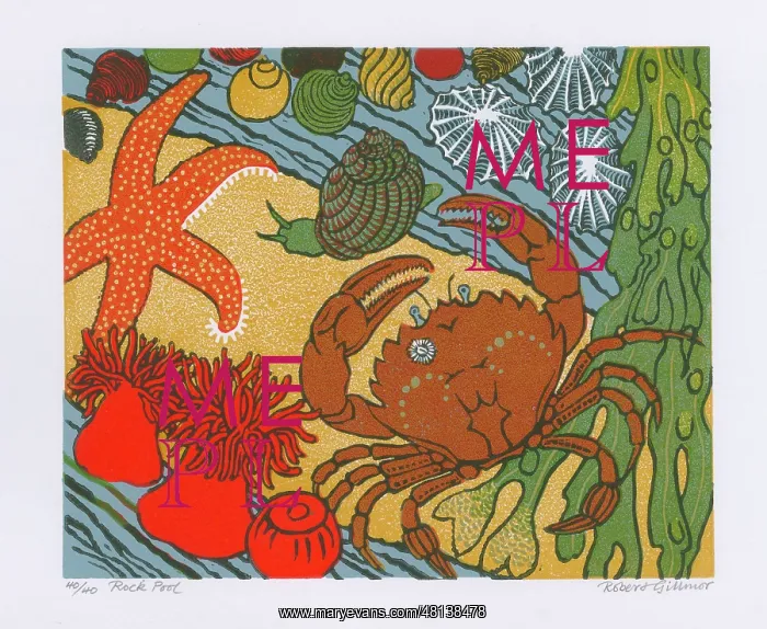 : Rockpool - artwork originally part of the cover design for the Collins : Rockpool - artwork originally part of the cover design for the Collins