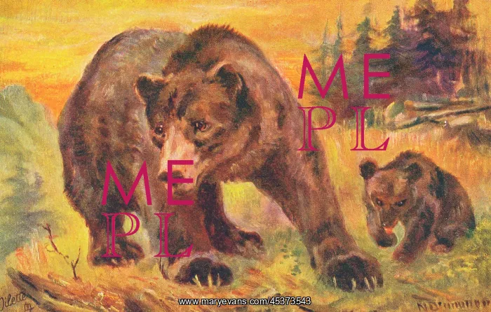  : In the Rocky Mountains - Grizzly Bear