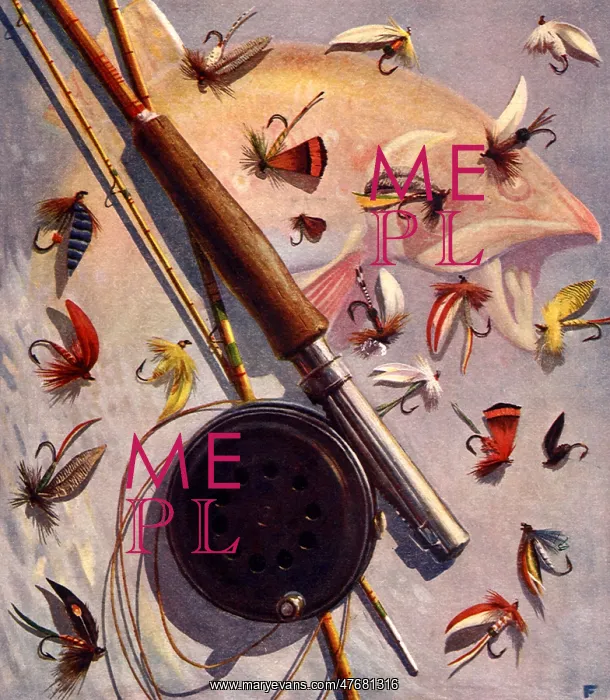  : Rod and Reel