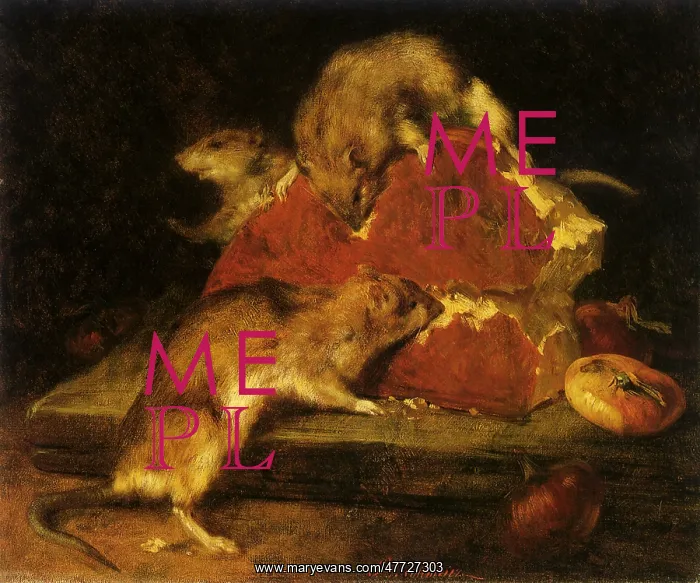  : The Rodents