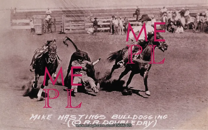  : Rodeo - Cowboy - Competition - Historical