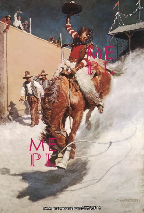  : Rodeo Riding Cowboy
