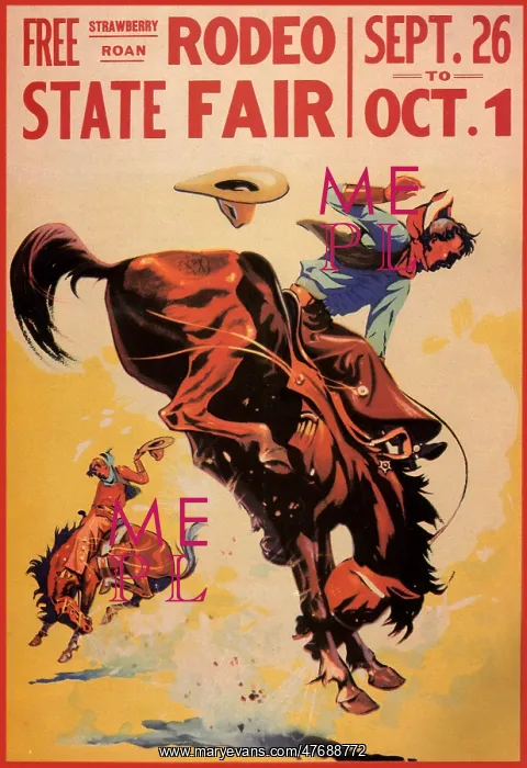  : Rodeo at State Fair