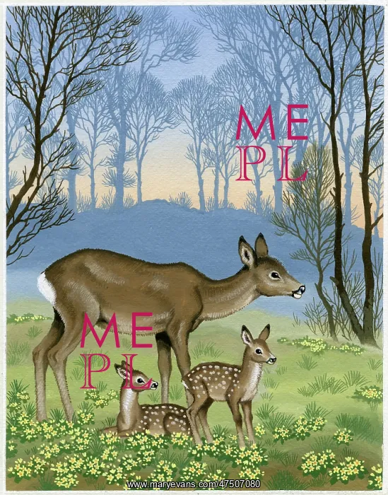 : Roe deer with two fawns