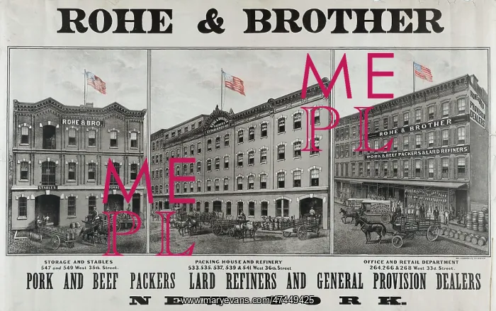 : Rohe & Brother : Rohe & Brother