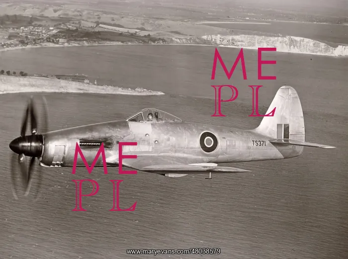 : The Rolls-Royce Eagle-powered Westland Wyvern TF1 : The Rolls-Royce Eagle-powered Westland Wyvern TF1