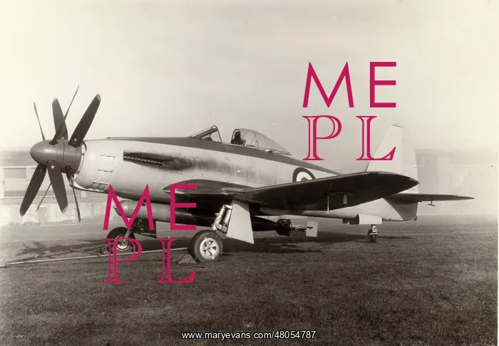: The Rolls Royce Eagle-powered Westland Wyvern TF1 : The Rolls Royce Eagle-powered Westland Wyvern TF1