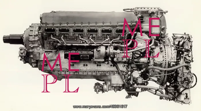 : Rolls Royce Merlin 113 Port side : Rolls Royce Merlin 113 Port side