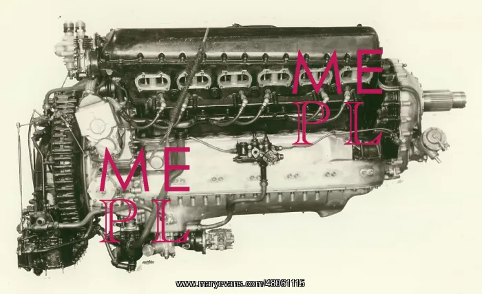 : Rolls Royce Merlin III Starboard side : Rolls Royce Merlin III Starboard side