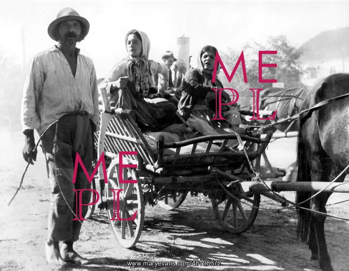 : Roma in a horse and wagon in Yugoslavia : Roma in a horse and wagon in Yugoslavia