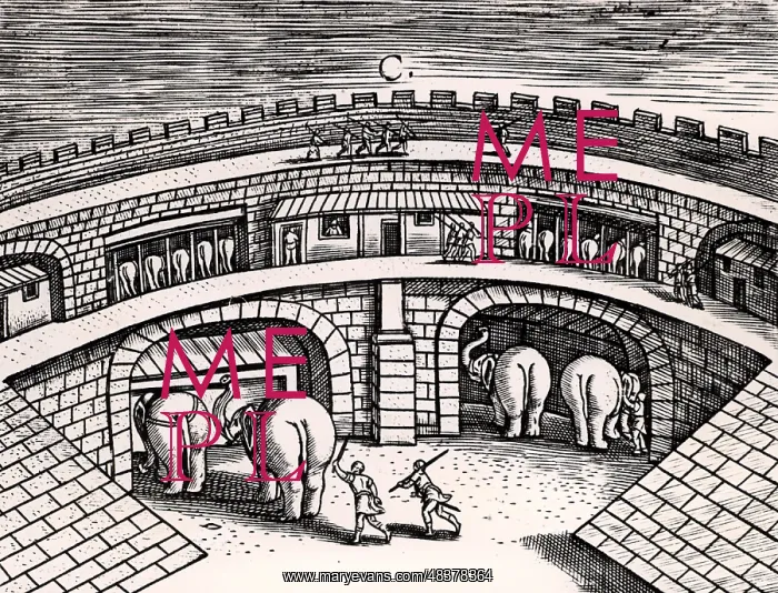 : Roman army stables with elephants at ground level : Roman army stables with elephants at ground level
