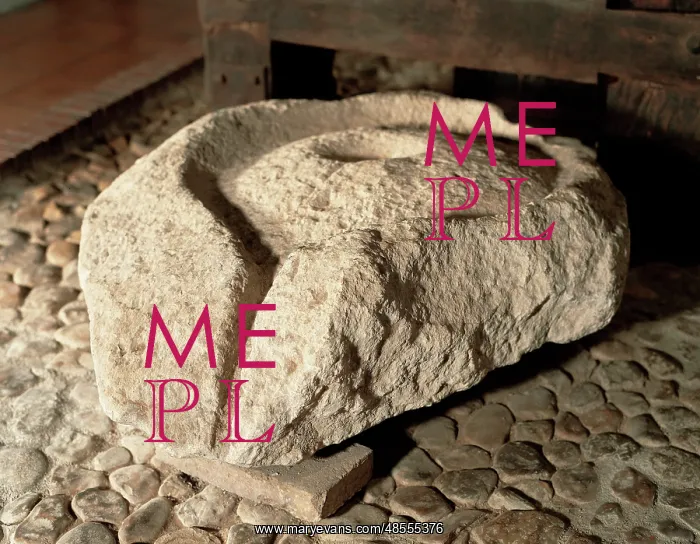 : Roman base of a press, special for wine. 1st century BC. Spa : Roman base of a press, special for wine. 1st century BC. Spa