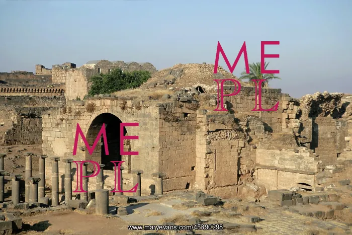  : Roman baths, Bosra, Syria