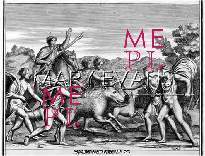 : ROMAN BOAR HUNT : ROMAN BOAR HUNT