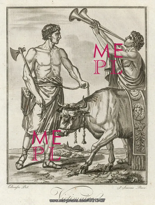 : Roman Bull Sacrificed : Roman Bull Sacrificed