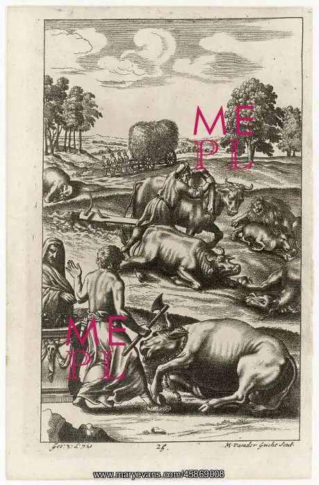 : ROMAN CATTLE STRICKEN : ROMAN CATTLE STRICKEN