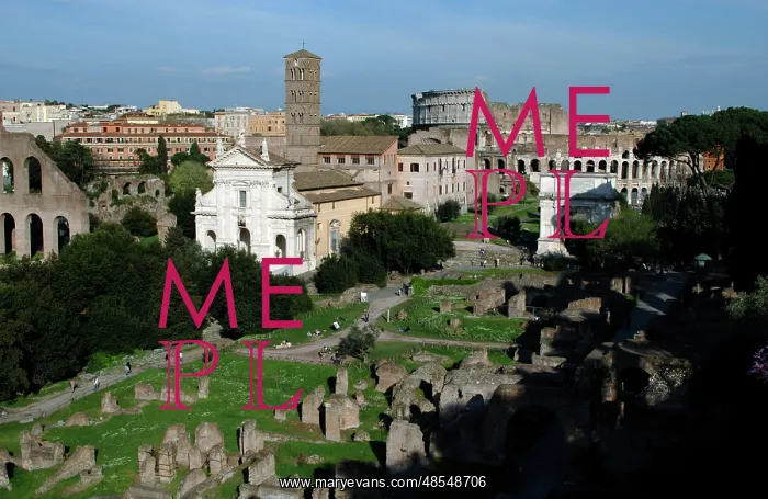  : Roman Forum. Rome. Italy