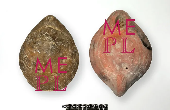 : Roman lamp and fossil brachiopod : Roman lamp and fossil brachiopod