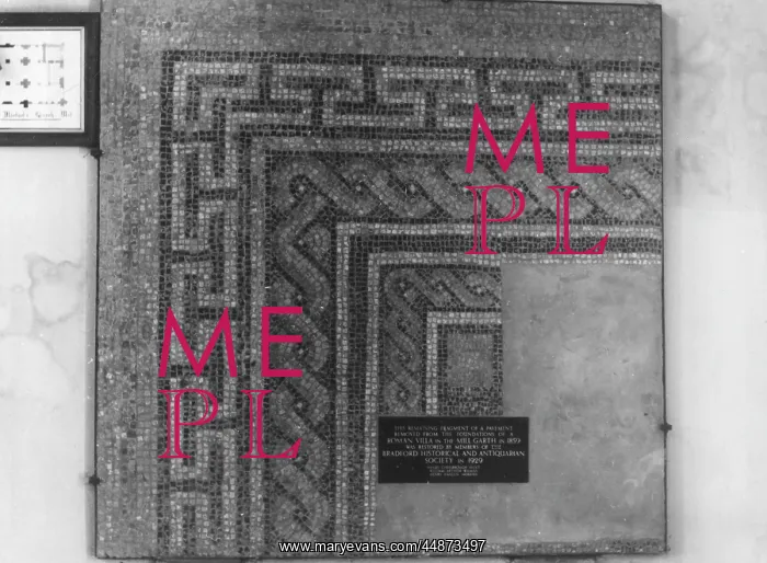 : ROMAN MOSAIC : ROMAN MOSAIC