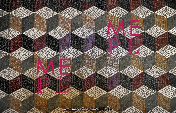  : Roman mosaic