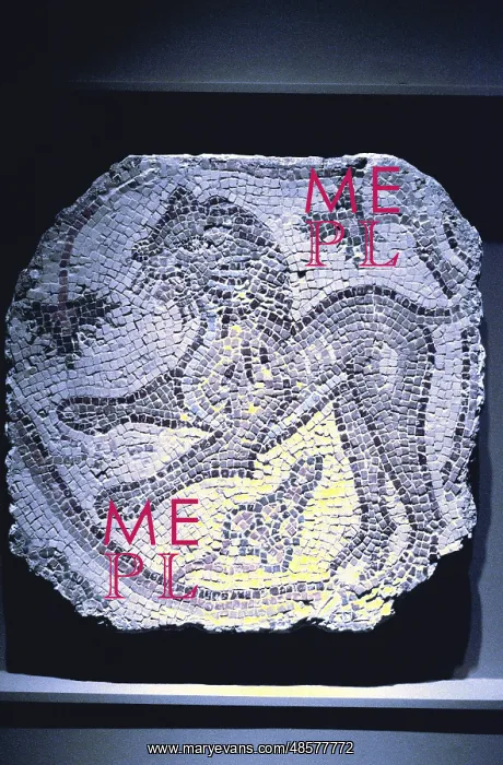  : Roman mosaic