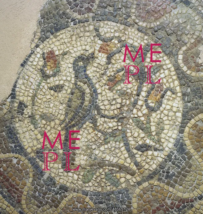 : Roman mosaic. Bird. Spain : Roman mosaic. Bird. Spain
