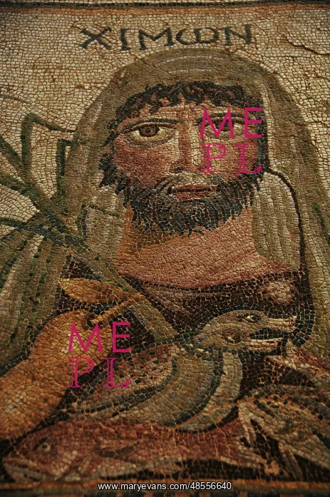: Roman Mosaic floor. Argos. Greece : Roman Mosaic floor. Argos. Greece