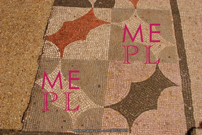  : Roman mosaic. Geometric decoration. Ostia Antica. Italy
