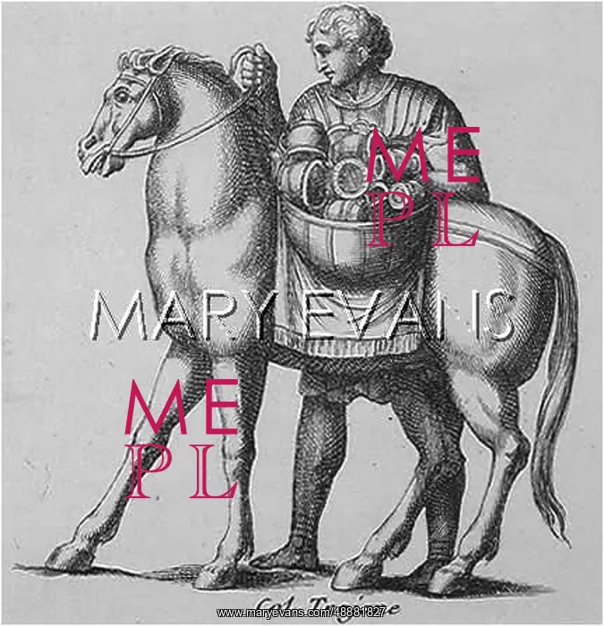 : ROMAN PACKHORSE : ROMAN PACKHORSE