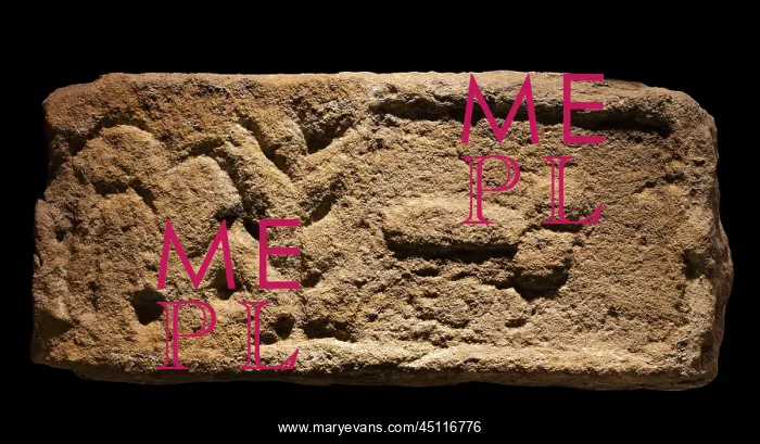 : Roman phallus carving, Vindolanda Museum, Hadrian's : Roman phallus carving, Vindolanda Museum, Hadrian's