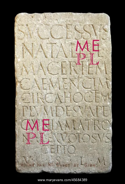 : Roman relief, Musee de Langres, Langres, Haute-Marne, France : Roman relief, Musee de Langres, Langres, Haute-Marne, France